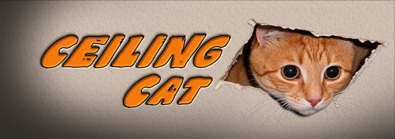 Classic Ceiling Cat banner
